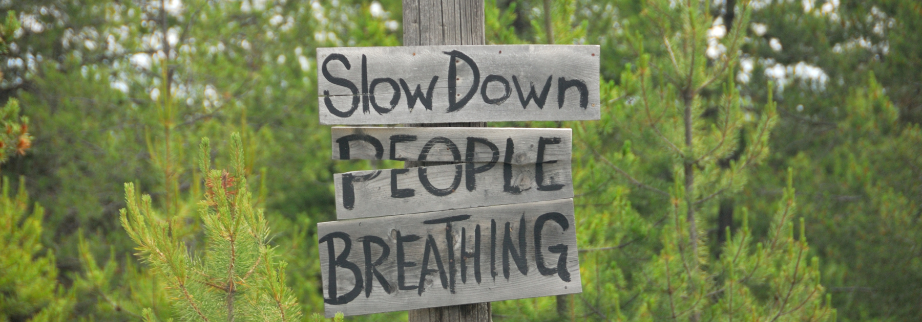 Making The Most Of Quiet Times In your Business