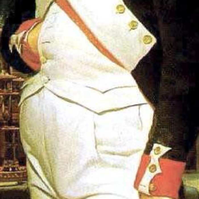 So why did Napoleon have buttons on the sleeves of his army's uniforms?